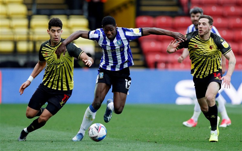 Image for Sheffield Wednesday: Fans react to Urhoghide update