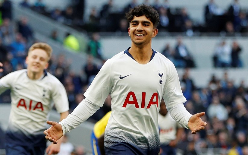 Image for Tottenham: Spurs fans urge Nuno to give Dilan Markanday a chance