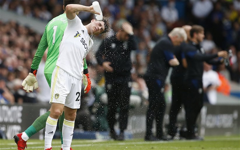 Image for Leeds United: International fans slam Daniel James’ Wales display