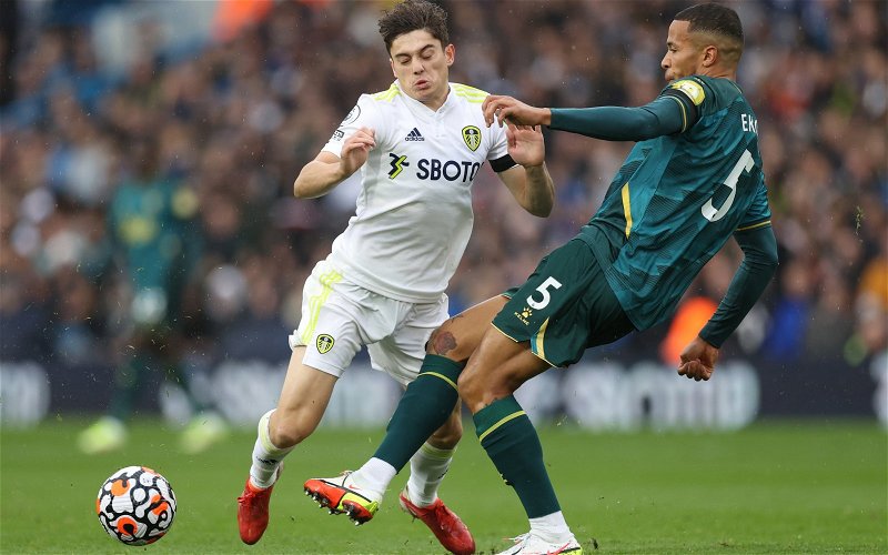 Image for Leeds United: Footage emerges of foul on Daniel James