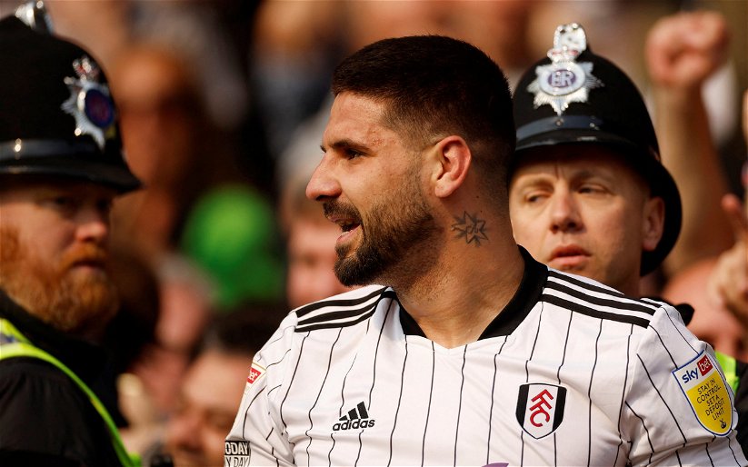 Image for Fulham: Paul Merson reveals what Aleksandar Mitrovic told him about his injury ahead of West Ham