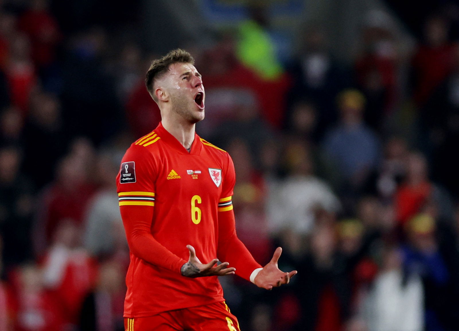 Video: Joe Rodon not happy with Ben Davies during Wales team photo