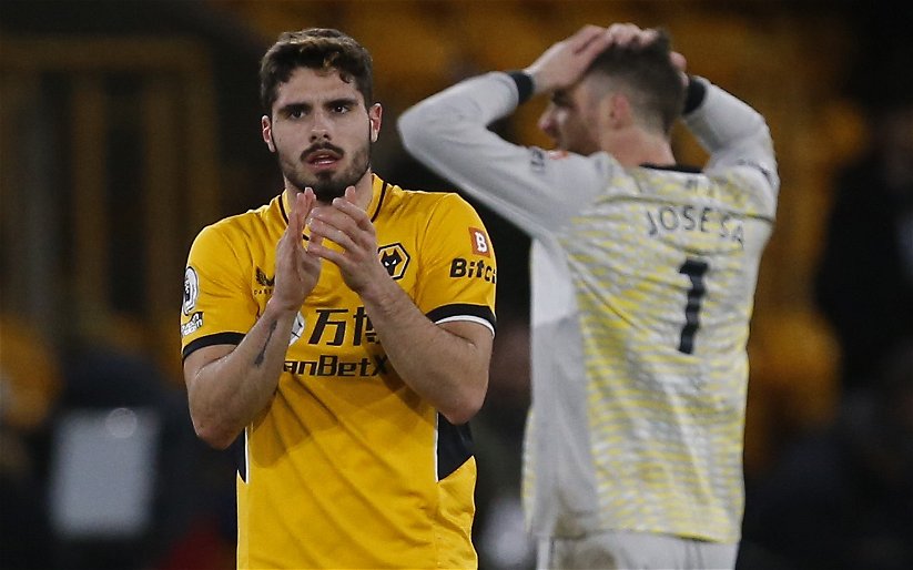 Image for Wolves: Joel Ward lucky not to pick up second yellow in Crystal Palace win