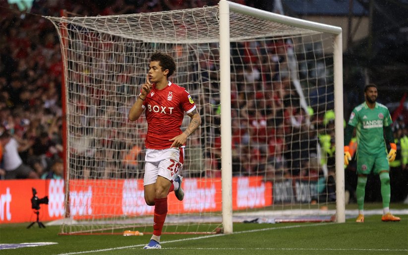 Image for Nottm Forest: Johnson steps up as Forest advance to play-off final