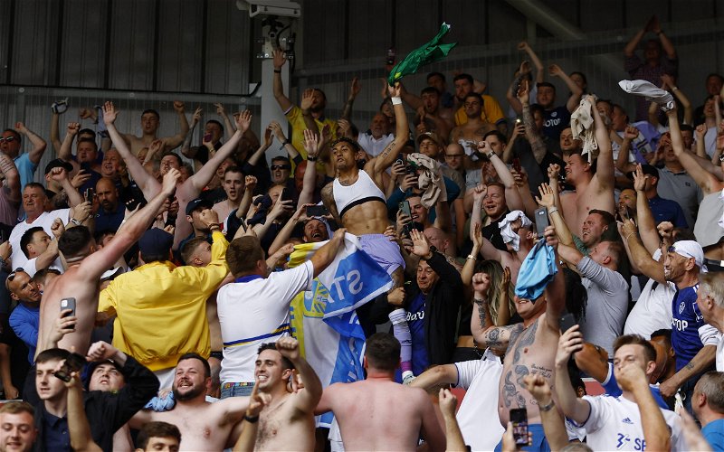Image for Leeds United: Neville praises Whites for surviving