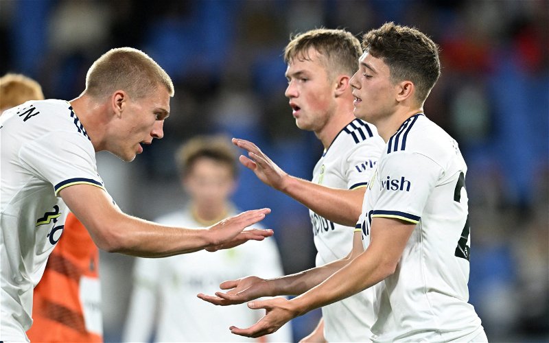 Image for Leeds United: Journalist heaps praise on ‘thorn in the opposition side’ Rasmus Kristensen