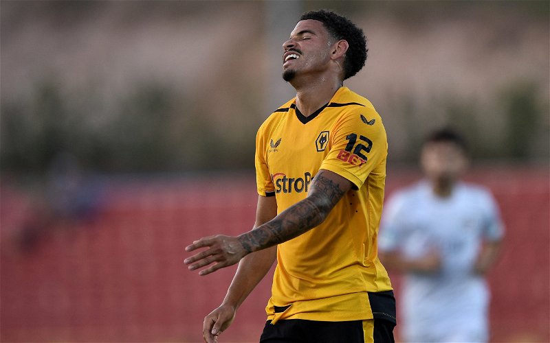 Image for Wolves: Morgan Gibbs-White reacts to player exit
