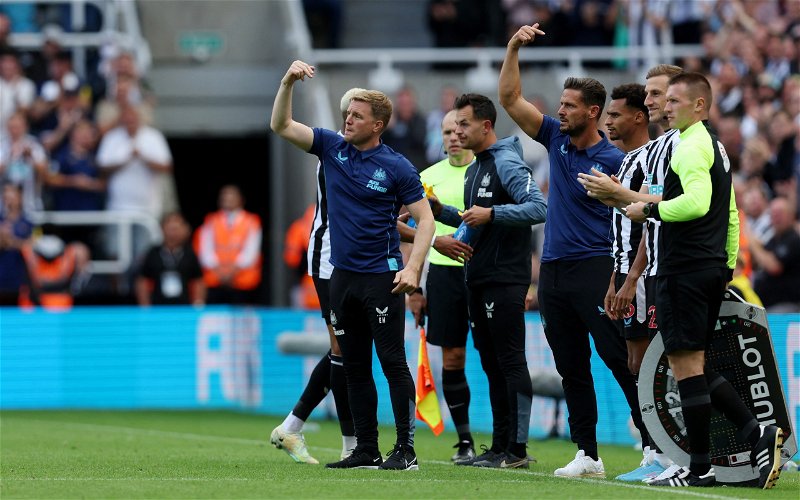 Image for Newcastle United: Pundit unconvinced by controversial VAR decision