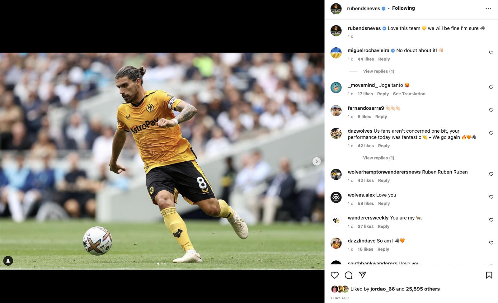 Ruben Neves in action for Wolves against Tottenham Hotspur