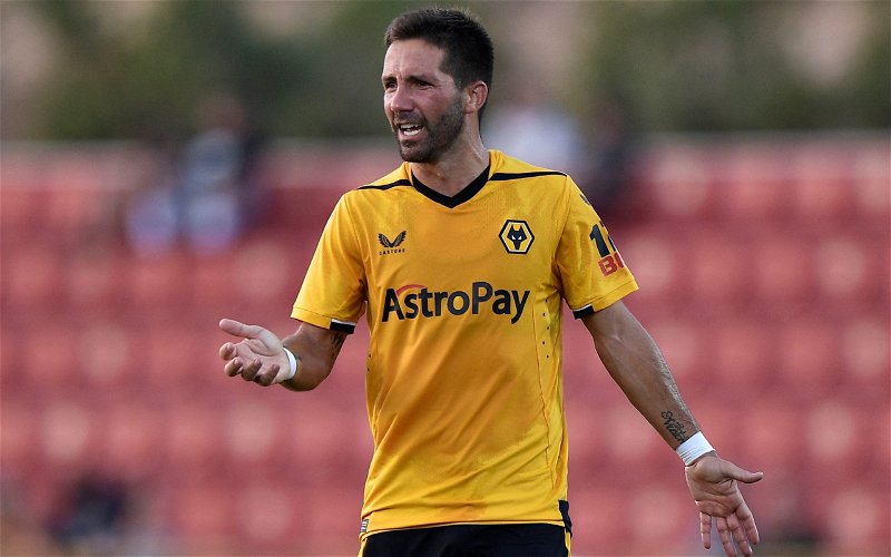 Image for Wolves: Injury expert gives João Moutinho injury update