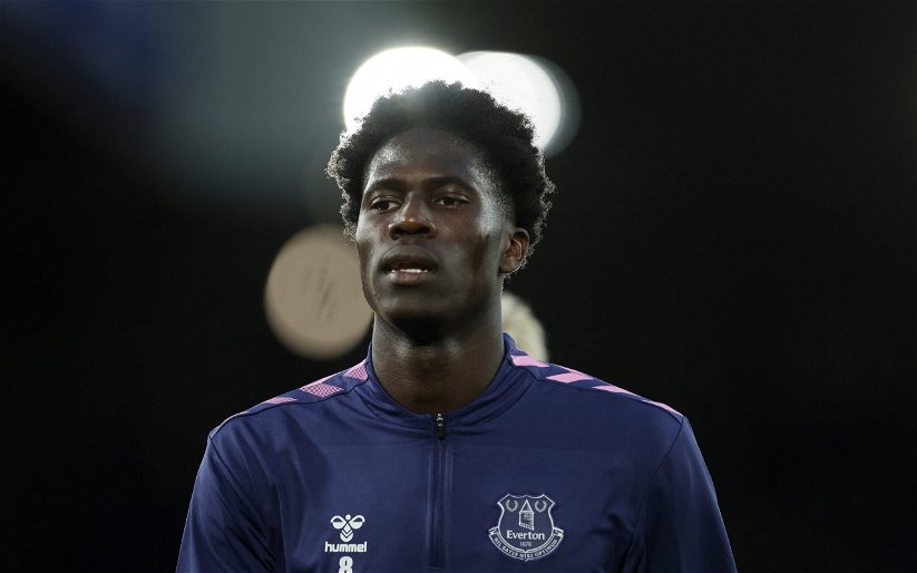 Image for Everton: Tony Scott has claimed Amadou Onana could be used as a striker