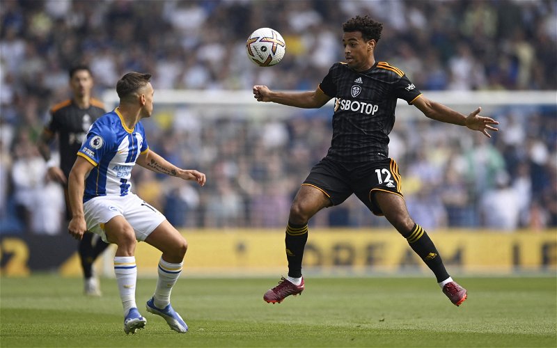 Image for Leeds United: Conor McGilligan predicts future transfer interest in Tyler Adams