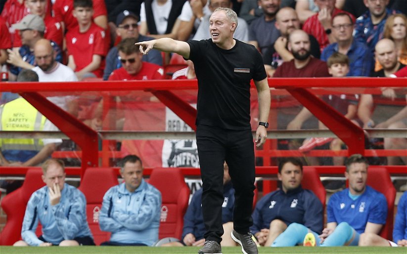 Image for Nottingham Forest: Journalist believes defence will struggle against Premier League’s best