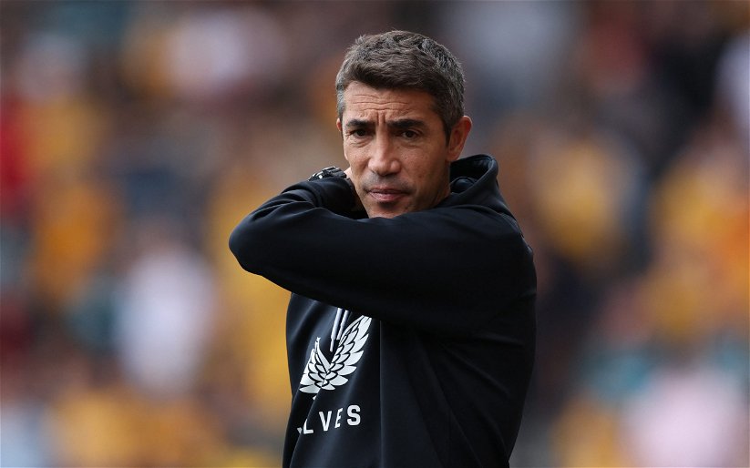 Image for Wolves: Bruno Lage has been dealt some bad luck this season