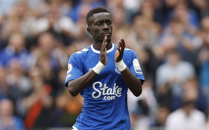 Image for Everton: Idrissa Gueye lucky to not give away penalty in recent draw