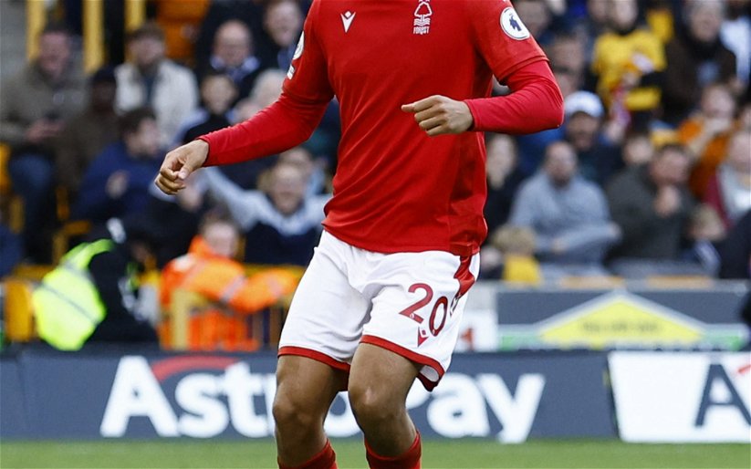 Image for Nottingham Forest: David Prutton jumps to defence of Brennan Johnson
