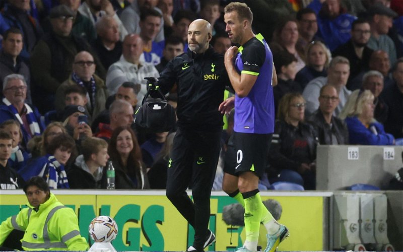 Image for Tottenham Hotspur: Antonio Conte will be pleased to see Harry Kane shake off injury scare