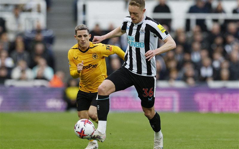Image for Newcastle United: Pundit questions Sean Longstaff