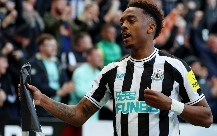 Image for Newcastle: Howe sweating on Joe Willock availability vs West Ham