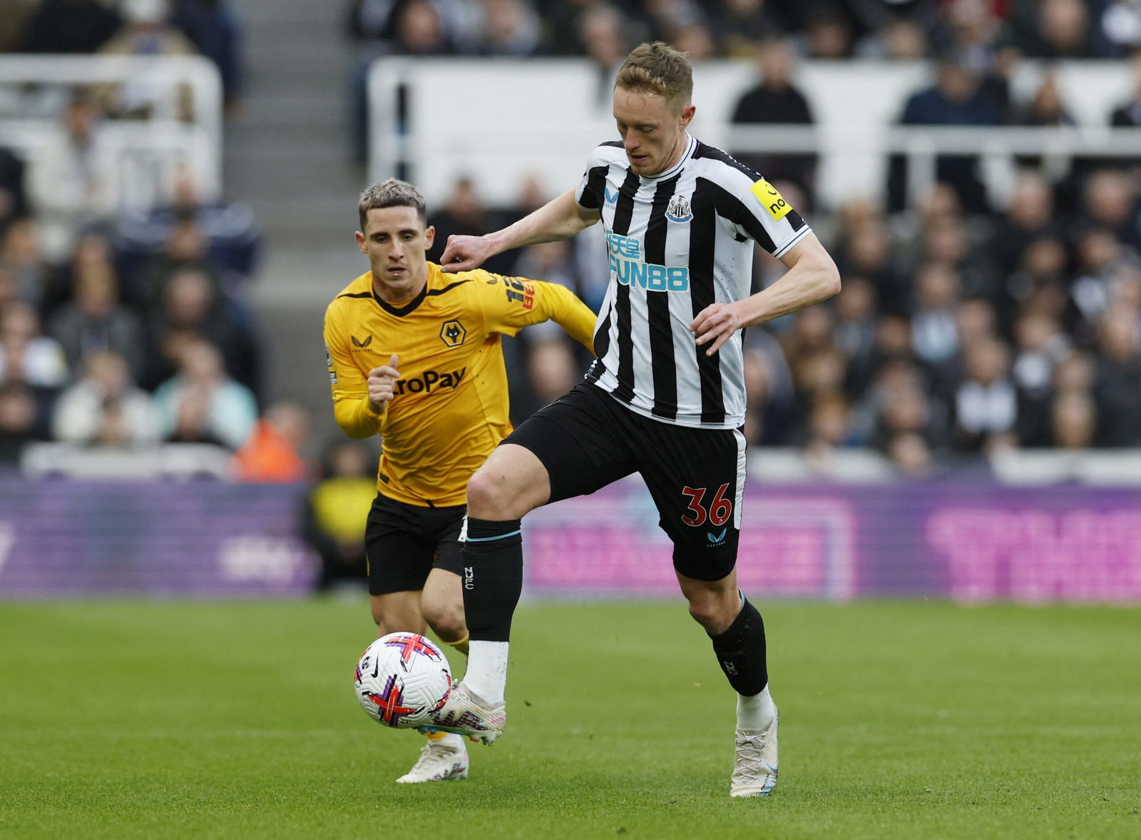 Newcastle: Journo reacts to “reborn” £28k p/w “machine”